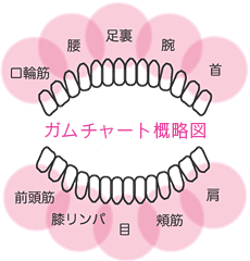 image1.png